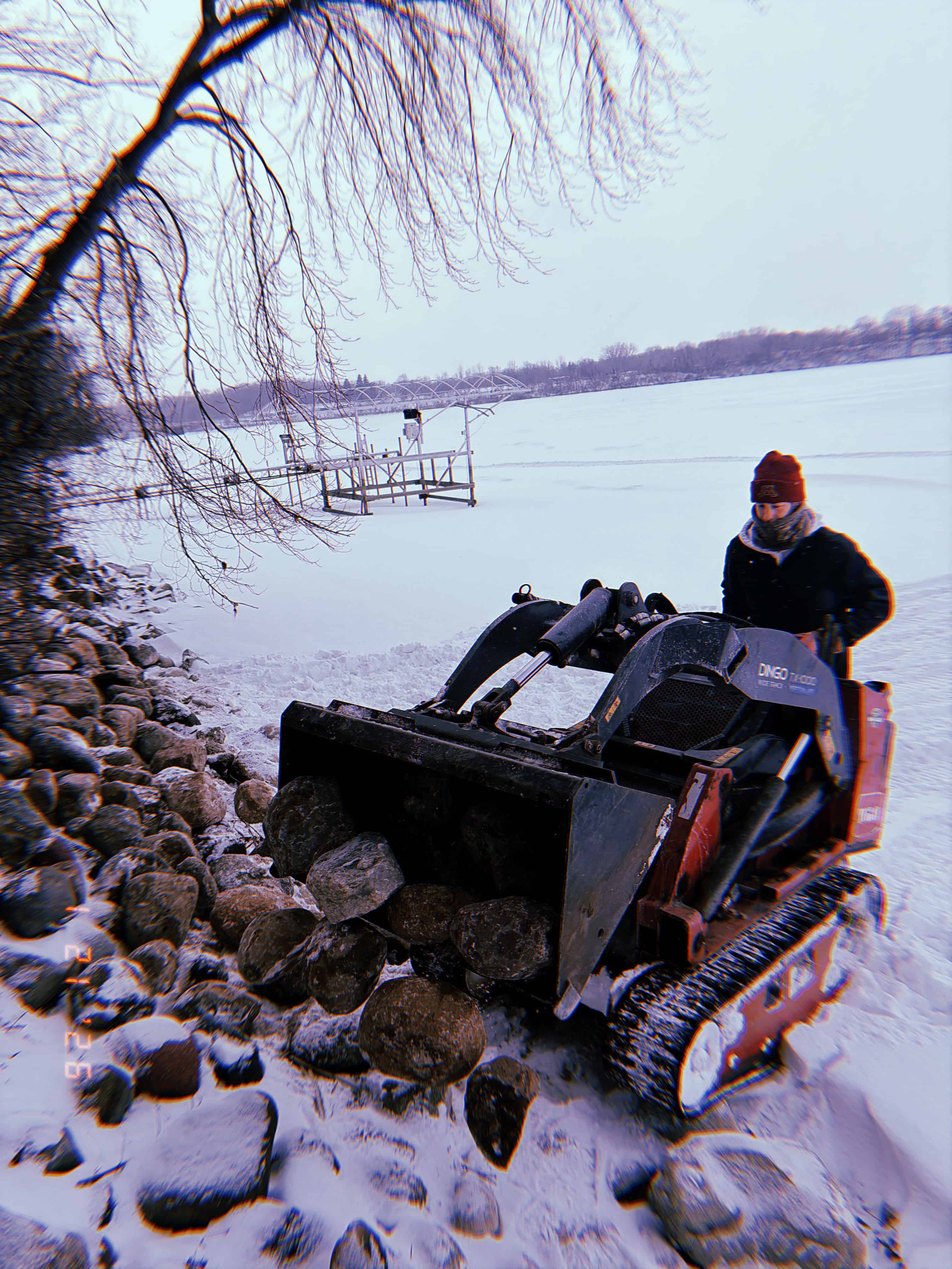 Lakeshore Restoration image