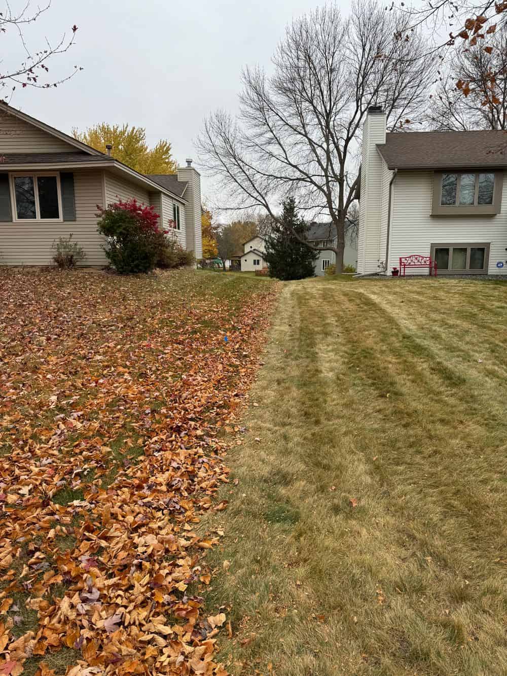 Spring & Fall Clean Ups image