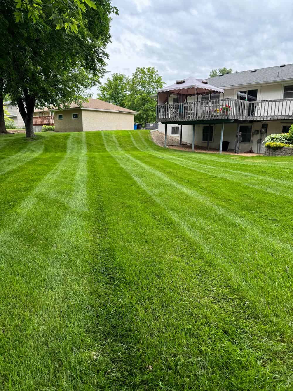 Lawn Mowing image