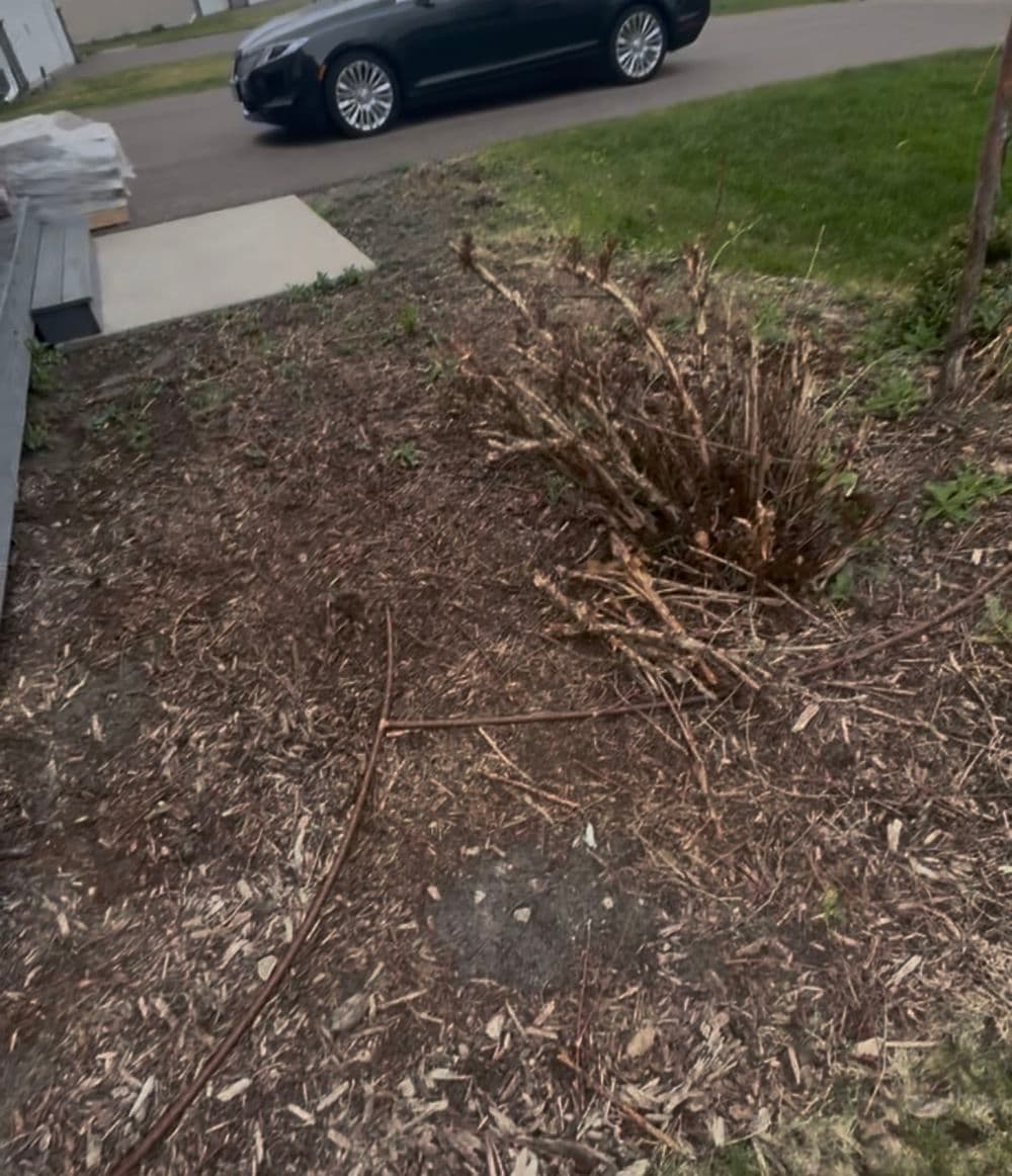 Gallery photos for Rock Landscape Refresh That Actually Works in Brooklyn Park: Image #2