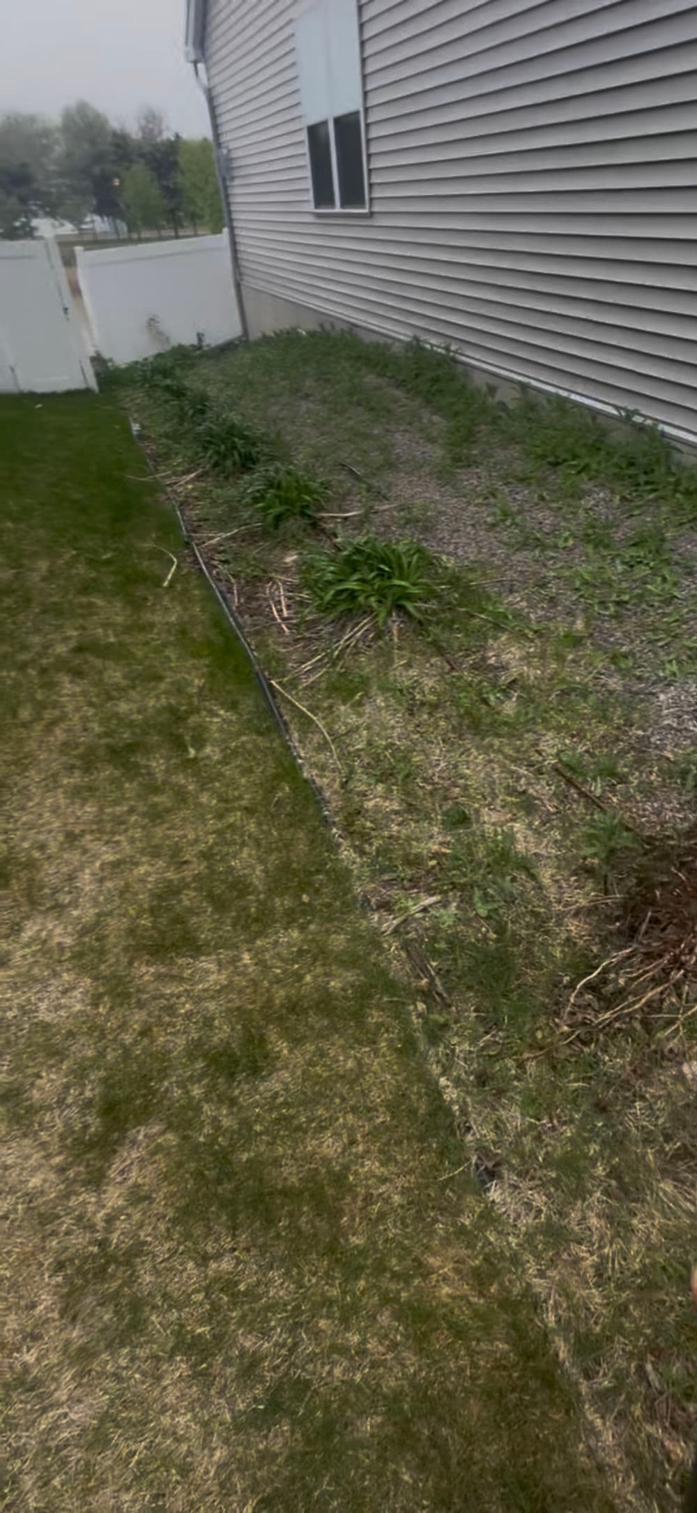 Gallery photos for Rock Landscape Refresh That Actually Works in Brooklyn Park: Image #3